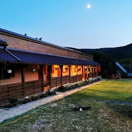 Casa Borcean 2 Guest House Sasca Montană Exterior photo