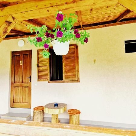 Casa Borcean 2 Guest House Sasca Montană Exterior photo