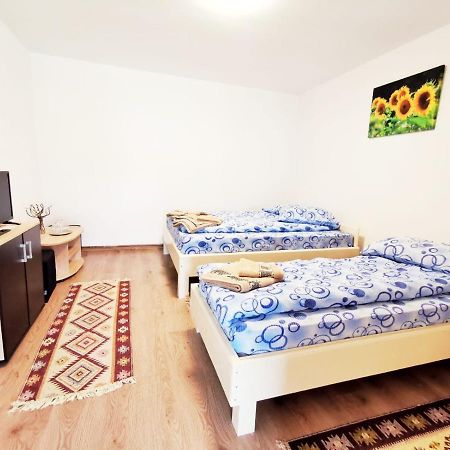 Casa Borcean 2 Guest House Sasca Montană Exterior photo