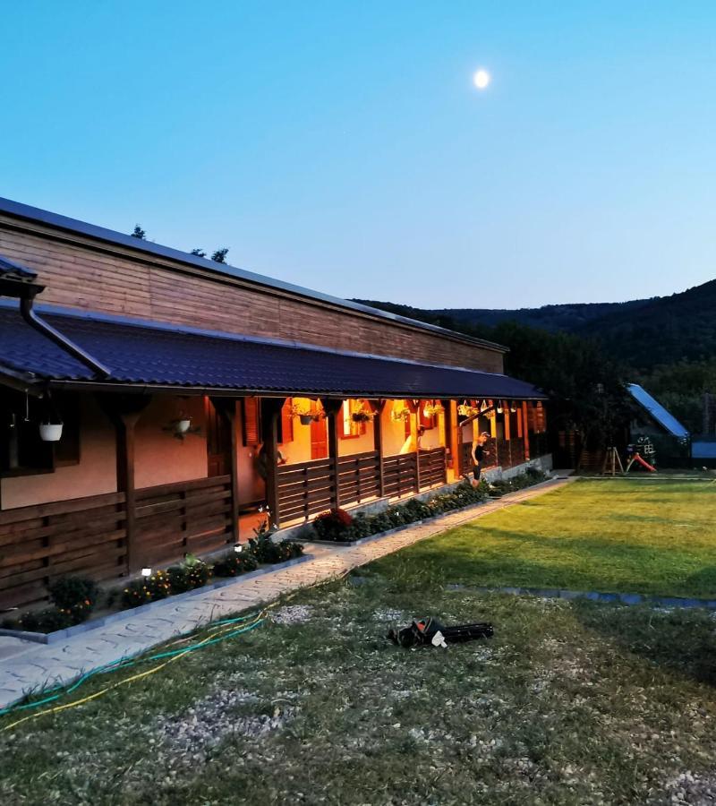 Casa Borcean 2 Guest House Sasca Montană Exterior photo