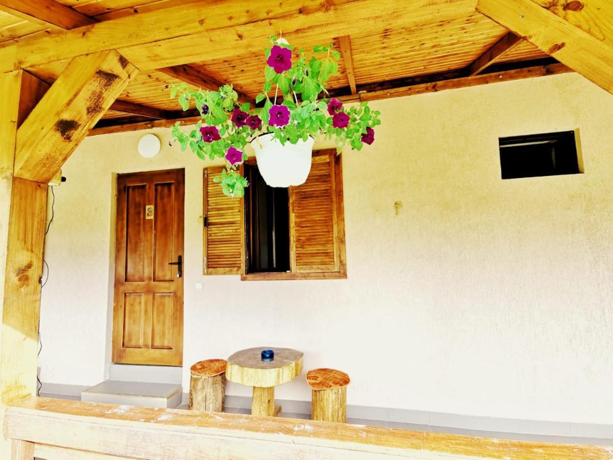 Casa Borcean 2 Guest House Sasca Montană Exterior photo