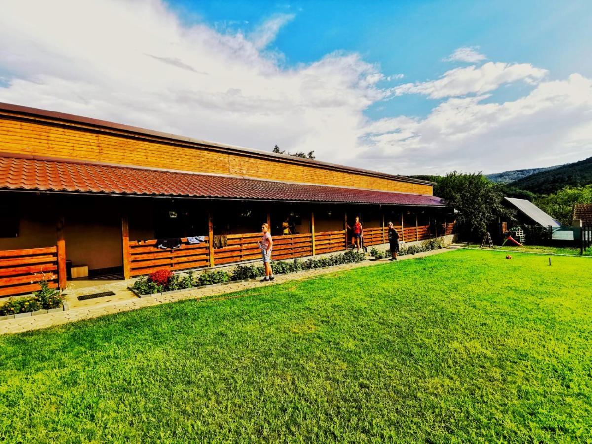 Casa Borcean 2 Guest House Sasca Montană Exterior photo