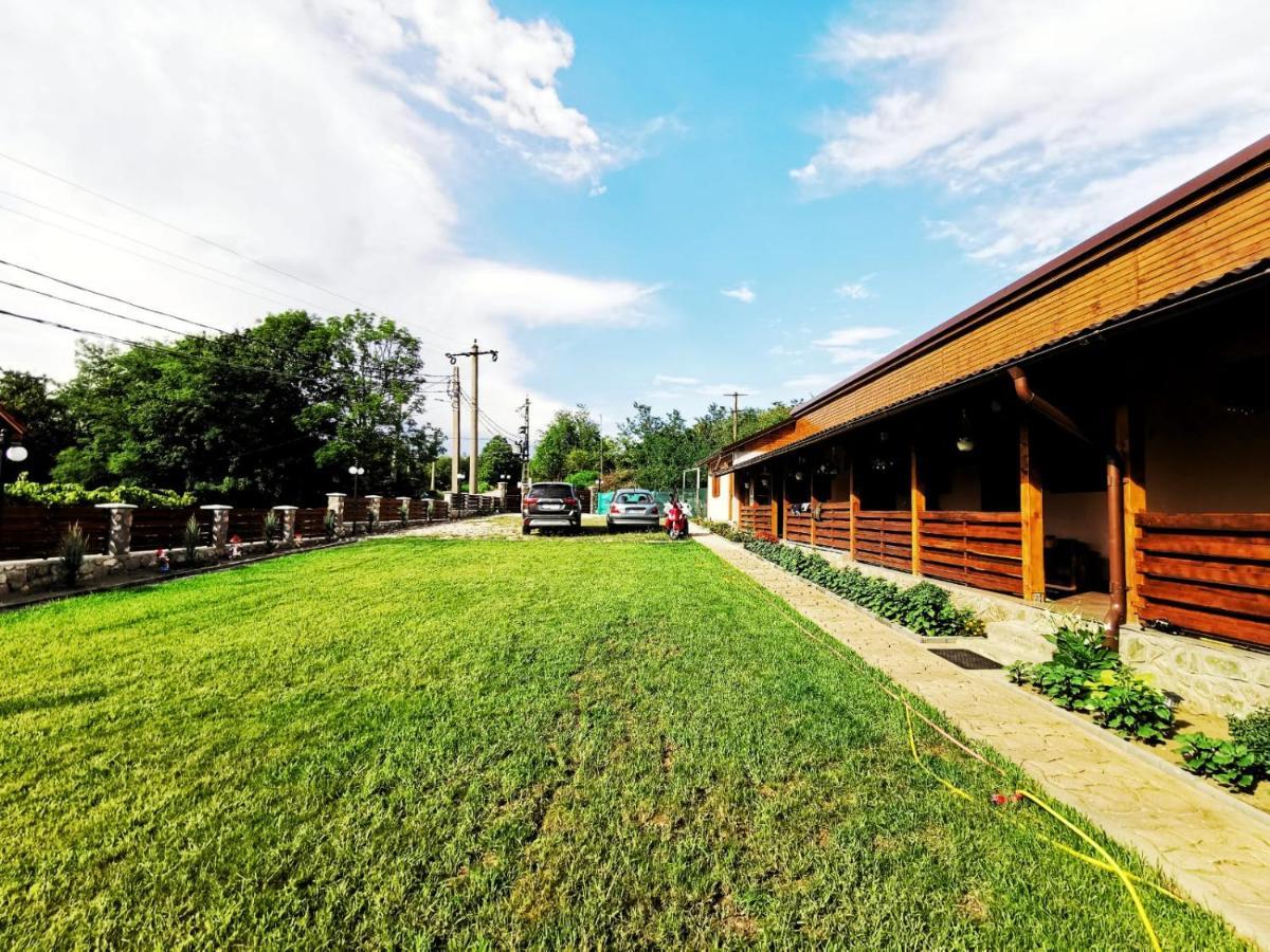 Casa Borcean 2 Guest House Sasca Montană Exterior photo