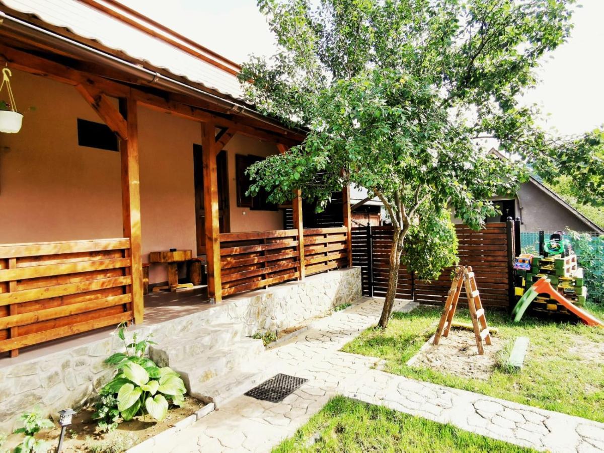 Casa Borcean 2 Guest House Sasca Montană Exterior photo