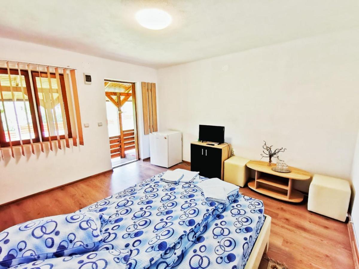 Casa Borcean 2 Guest House Sasca Montană Exterior photo