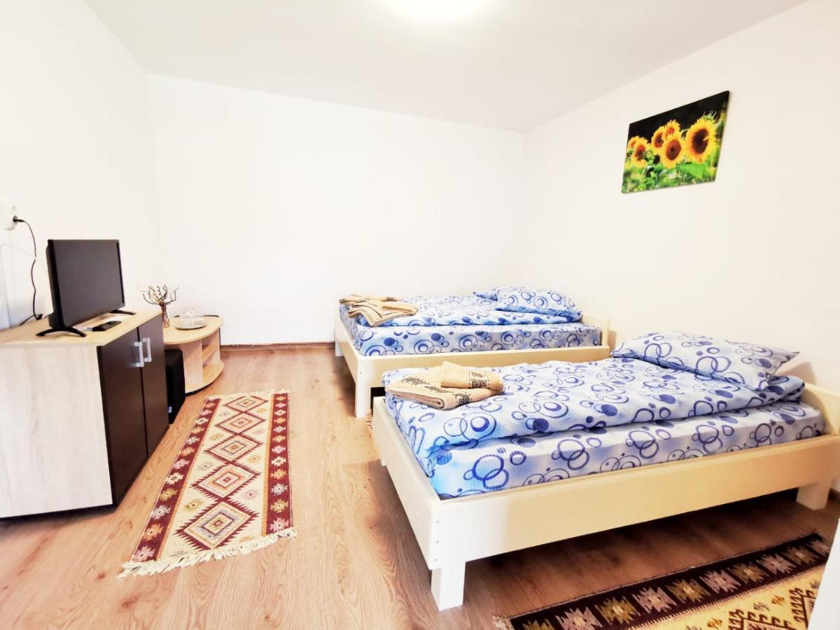 Casa Borcean 2 Guest House Sasca Montană Exterior photo