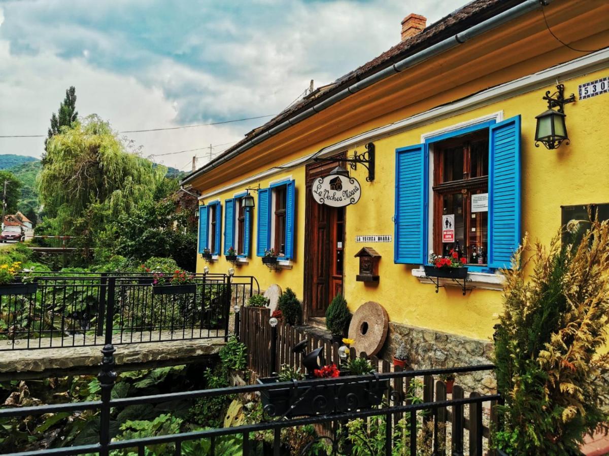 Casa Borcean 2 Guest House Sasca Montană Exterior photo